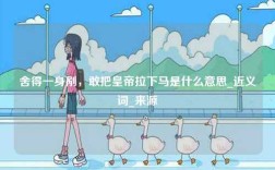 舍得一身剮，敢把皇帝拉下馬是什么意思_近義詞_來源