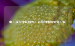 電工模擬考試題庫：為你的考試保駕護航
