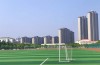 合肥信息技術職業學院檔次測評：教學質量和就業前景分析