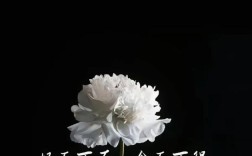 長(zhǎng)眠不起的解釋_近義詞_反義詞