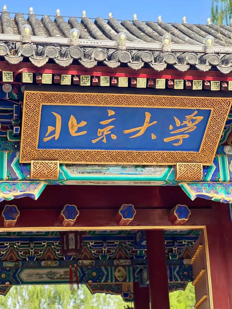 北京大學是文科還是理科(文科生去北大還是清華)-圖1