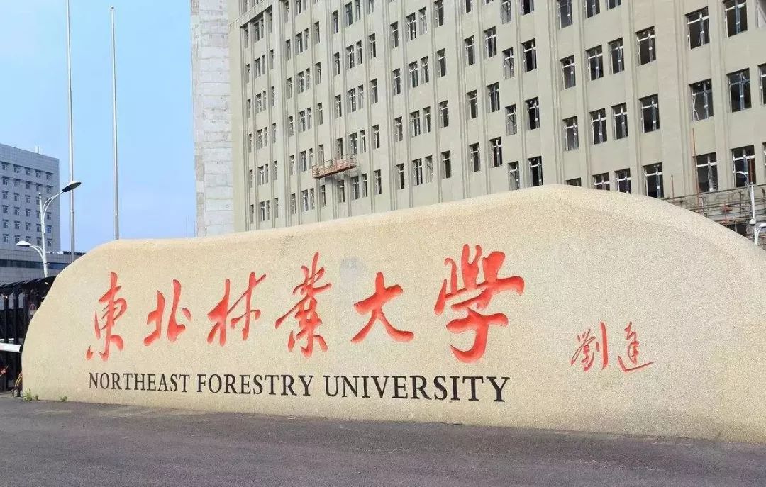 東北林業(yè)大學認可度-圖1