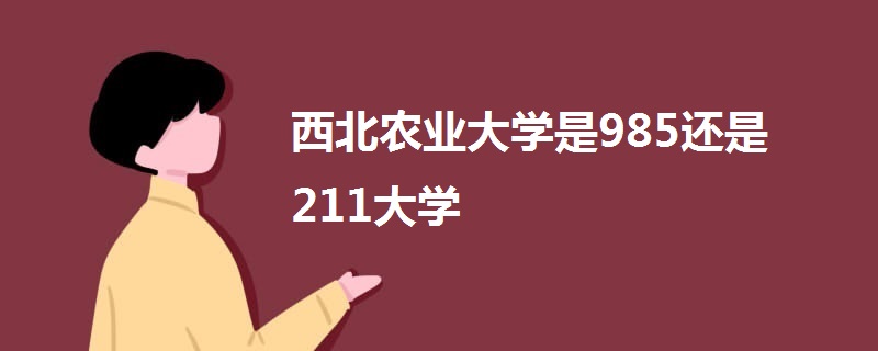 西北農(nóng)業(yè)大學是985還是211大學-圖1