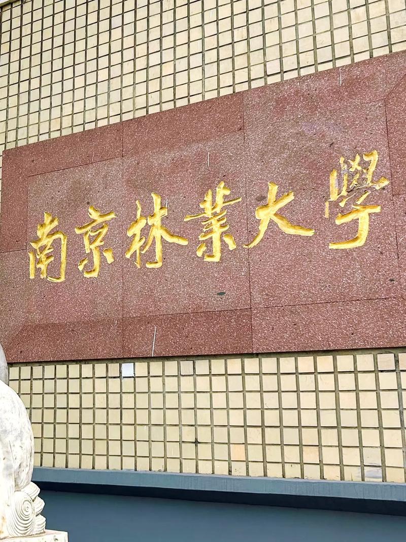 千萬別來南京林業大學-圖1