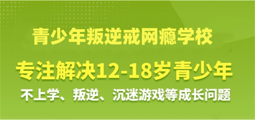 武漢地區(qū)可以改變青春期孩子網(wǎng)癮大/脾氣大/輟學的特訓營推薦-圖2