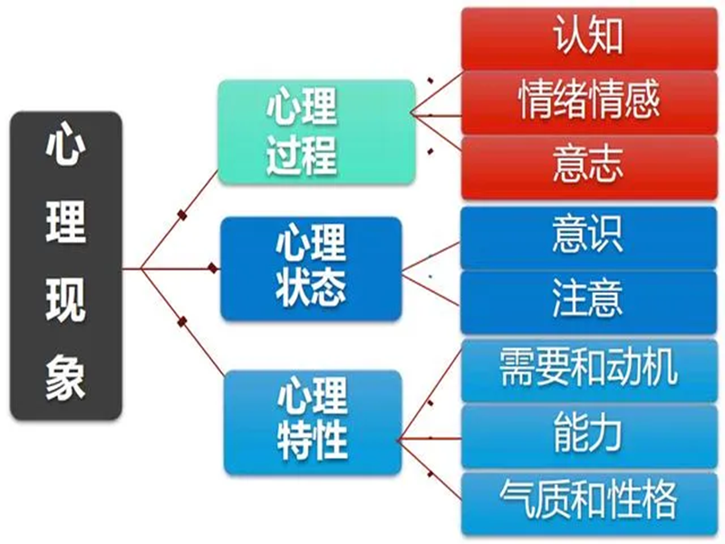 2025年中國心理衛(wèi)生協(xié)會的心理咨詢師如何報(bào)考?-圖1