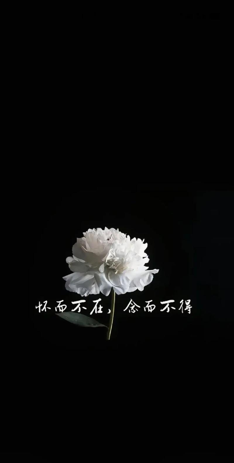 長眠不起是什么意思_近義詞_來源-圖1