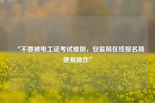 “不要被電工證考試難倒，安監局在線報名簡便易操作”-圖1