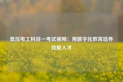 低壓電工科目一考試視頻：用數字化教育培養技能人才-圖1
