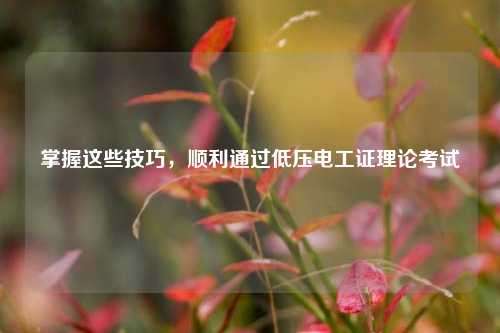 掌握這些技巧，順利通過低壓電工證理論考試-圖1