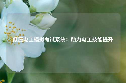 低壓電工模擬考試系統：助力電工技能提升-圖1