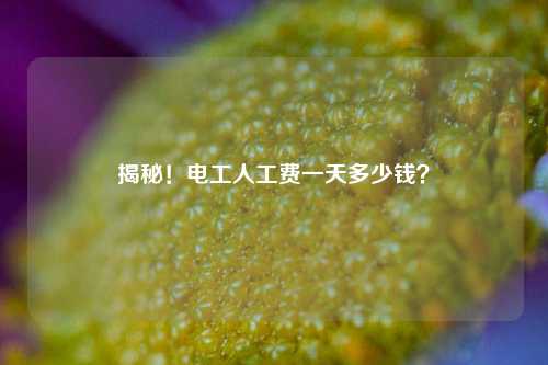 揭秘！電工人工費一天多少錢？-圖1